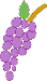 grapes